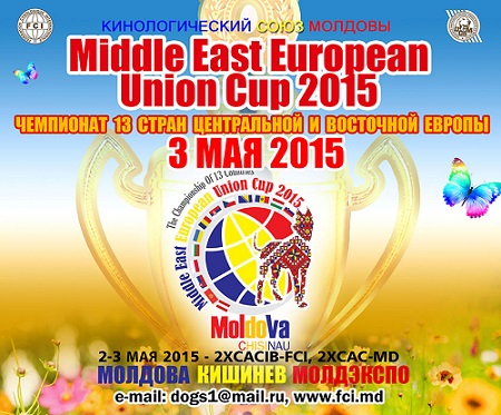 Чемпионат Центральной и Восточной Европы2015